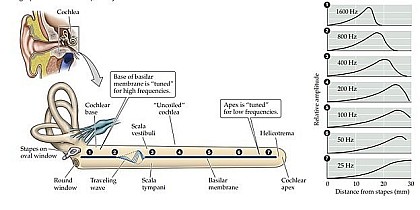 Ямбург_На_Первом