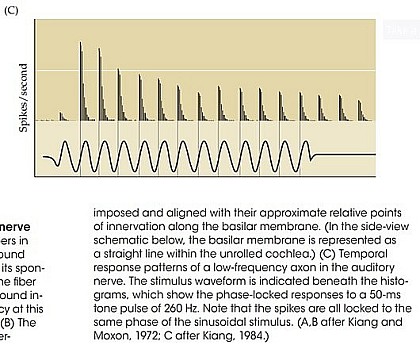 Ямбург_На_Первом