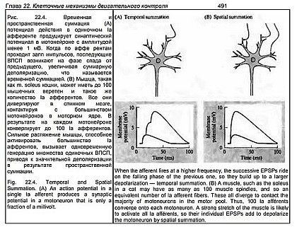 Ямбург_На_Первом