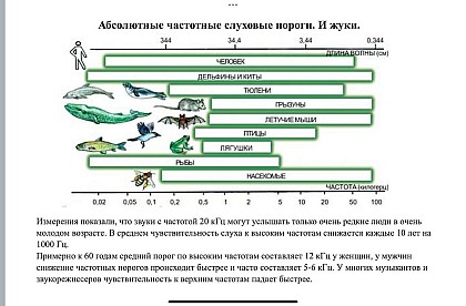 Ямбург_На_Первом