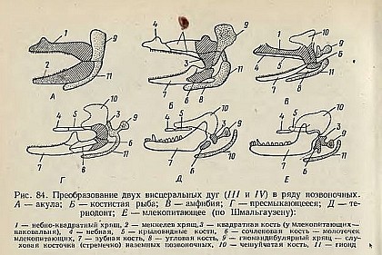 Ямбург_На_Первом