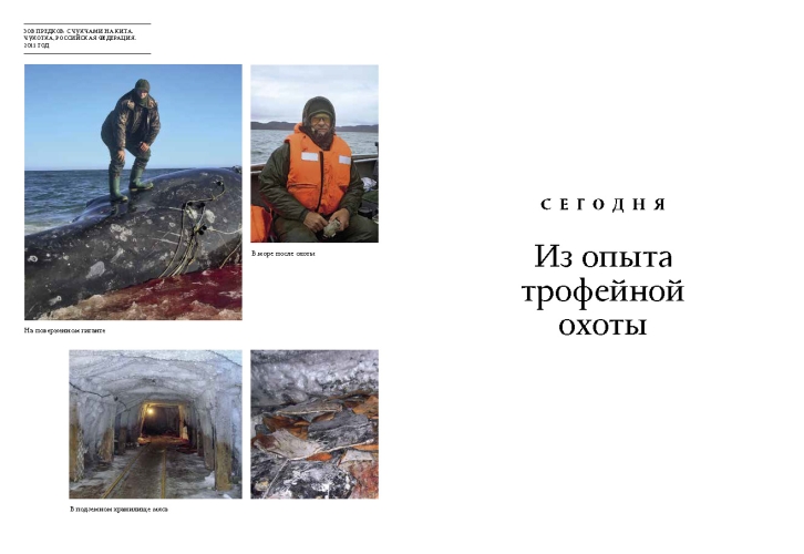 Надежды выстрел