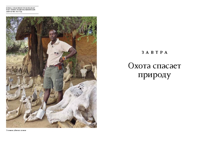 Надежды выстрел