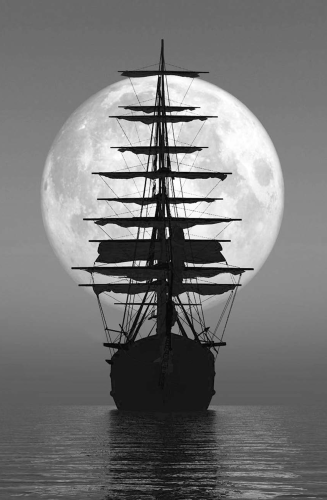 Бессмертные. О тех, кто приблизился к разгадке тайны