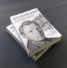 Достоевский. Литературные прогулки по Невскому проспекту. От Зимнего дворца до Знаменской площади