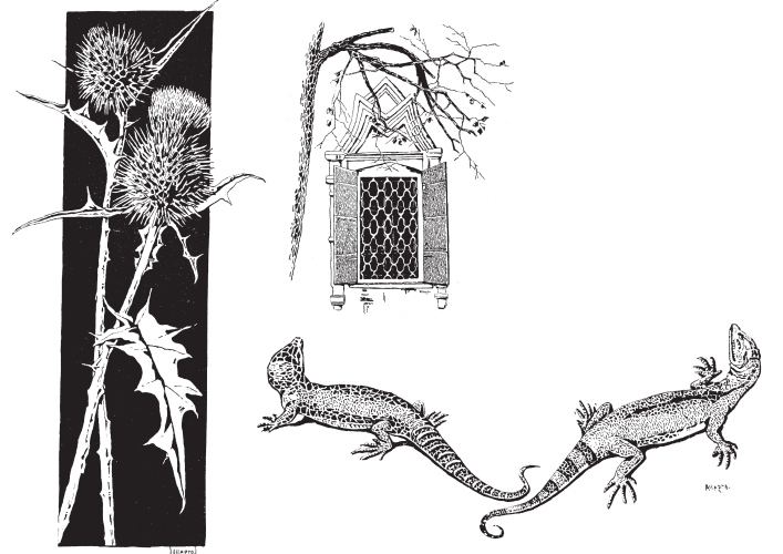 Соловьева. Брюсов. Волошин. Блок. Белый. Кочевники красоты