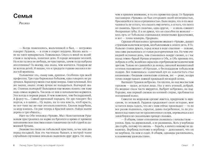 Вдогонку за последней строкой (электронная книга)