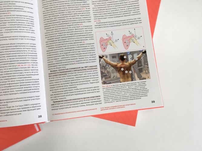 Спортивное плечо. В 3 томах. Том 1. Нестабильность плечевого сустава