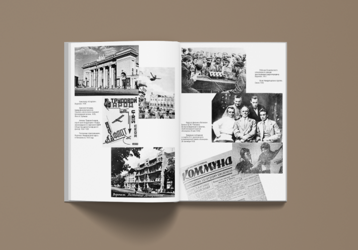 Поэзия в мертвой петле. Мандельштам и авиация (электронная книга)