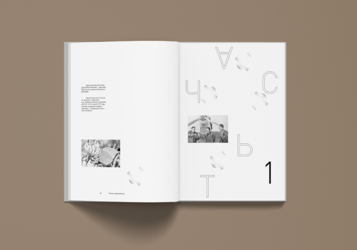 Поэзия в мертвой петле. Мандельштам и авиация (электронная книга)