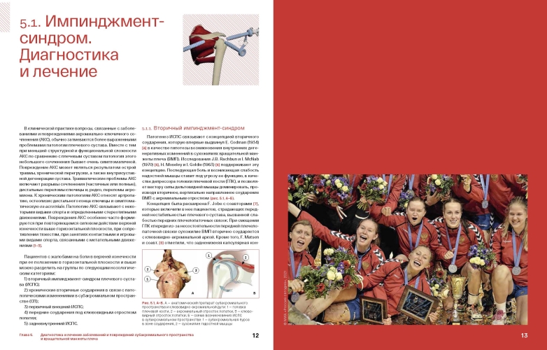 Спортивное плечо : В 3-х томах. Том 2: Вращательная манжета плеча