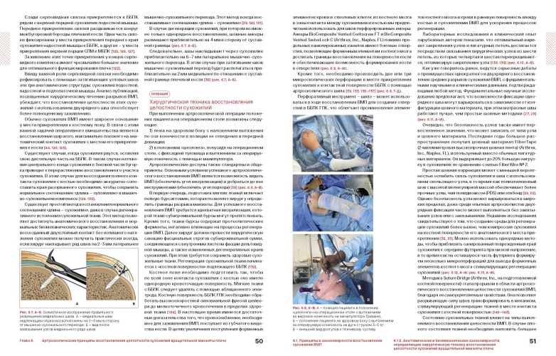 Спортивное плечо : В 3-х томах. Том 2: Вращательная манжета плеча