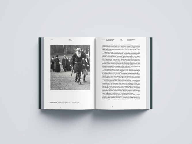 Софья Толстая-Есенина. Семья. Окружение. Судьба